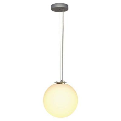 ROTOBALL 25 gris argent/blanc 