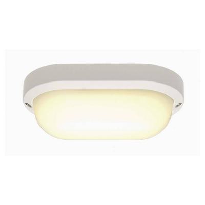  TERANG 2 blanc 11W 