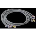  CABLE RJ12 6x2M 