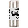  FUS GG 14X51 10A AVEC PERC 
