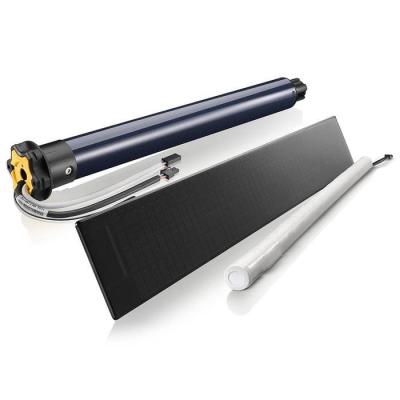  RS100 Solar io 20/12 ZF54 pour 