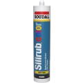  300 ML SILIRUB COLOR RAL 1013 
