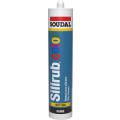  300 ML SILIRUB COLOR RAL 1002 