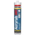  310 ML ACRYRUB SWS BLANC 