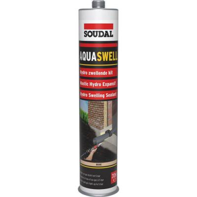  310 ML AQUASWELL 