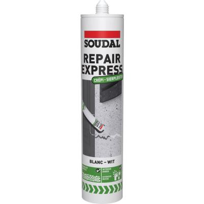  290ML REPAIR EXPRESS CREPI BLA 