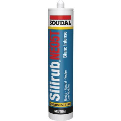 300 ML SILIRUB NEO5T BLANC INT 