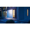  Verrine L 265 