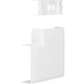  Angle Plat ATA 20X50 Pure 