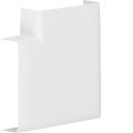  Angle Plat ATA 20X75 Pure 