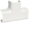  T� pour CLM50065, bp 