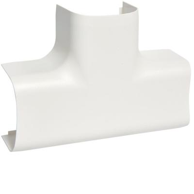  T� pour CLM50065, bp 