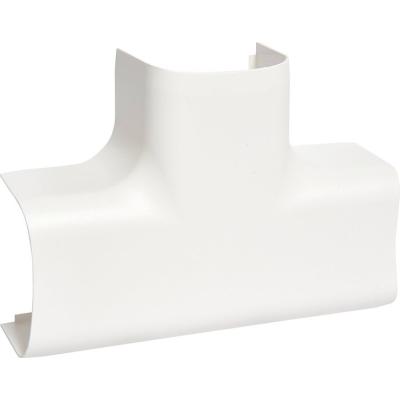  T� pour CLM50065, bp 