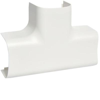  T� pour CLM50065, bp 