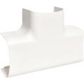  T� pour CLM65090, bp 