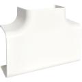  T� pour CLM75125, bp 