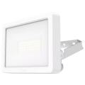  theLeda B10 dual blanc 