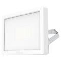  theLeda B30 dual blanc 