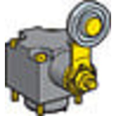  T�te IDP rot & lev gal m�t bil 
