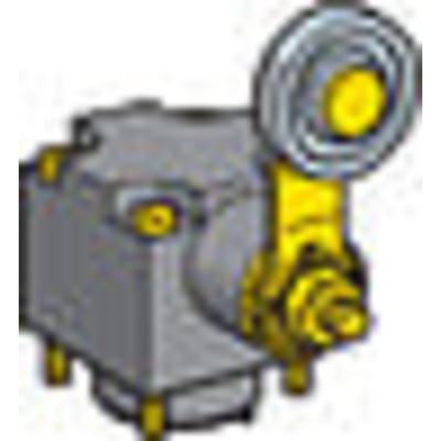  T�te IDP rot & lev gal m�t bil 