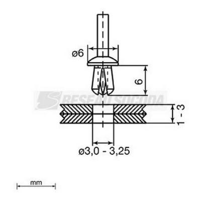  Rivets plastique O3 x 6 