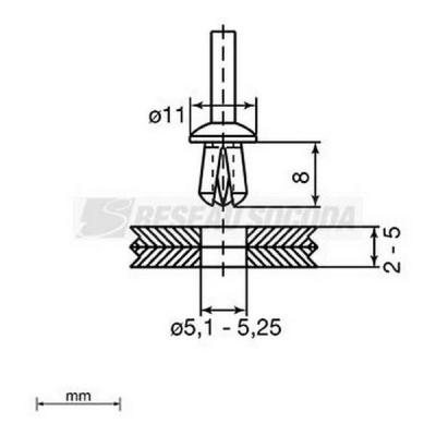  Rivets plastique O5 x 8 