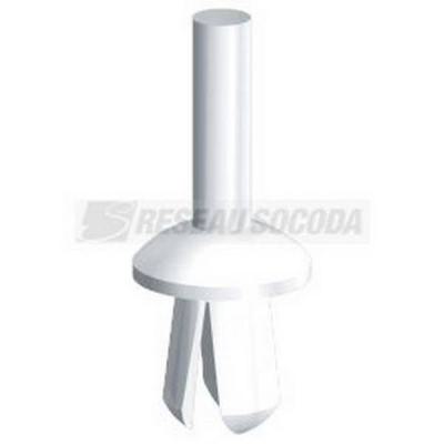  Rivets plastique O6 x 12 