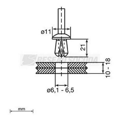  Rivets plastique O6 x 21 