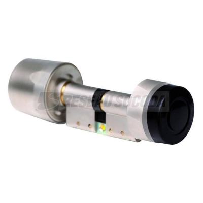  CYLLE33 