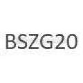  BSZG20 