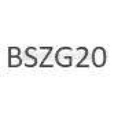  BSZG20 
