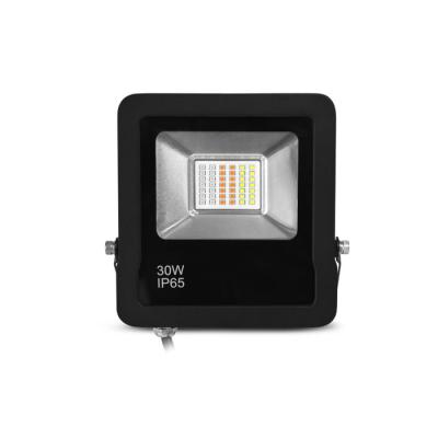  ARCHEO SLIM RGB II PROJECT 30W 