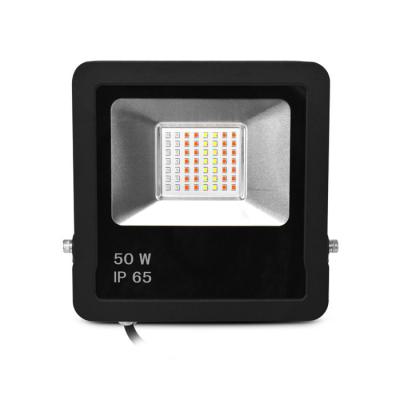  ARCHEO SLIM RGB II PROJECT 50W 
