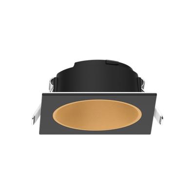  ECLAT CCT II COLLERETTE BASSE 
