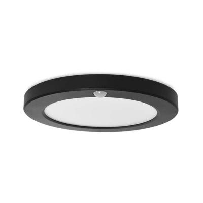  ALDEBARAN COLLERETTE NOIRE POU 