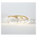  BANDEAU BLC 4000K 5M 120LED ET 