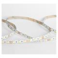  BANDEAU BLC 4000K 5M 120LED ET 