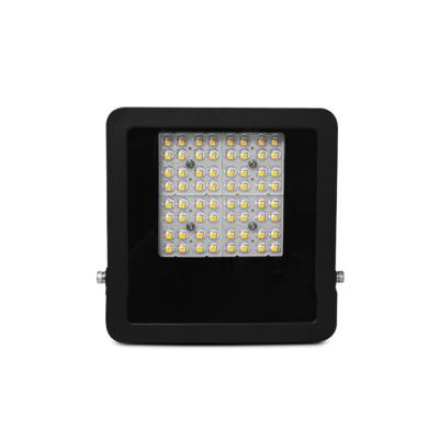  LUMOS ASYM PROJECTEUR ASYM 50W 