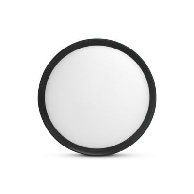  COLLERETTE NOIRE POUR CLIPSO I 
