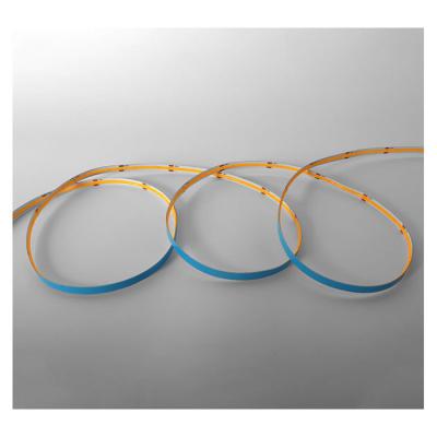  BANDEAU COB 6000K 5M 320LED/M 