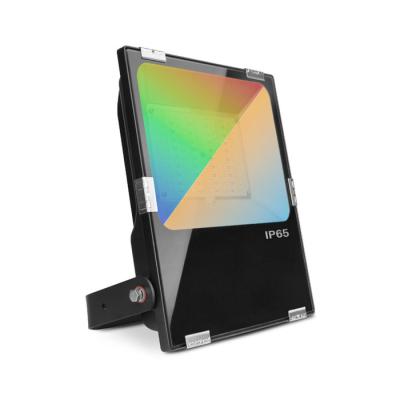  ARCHEO RGB + BLC PROJECT 50W C 