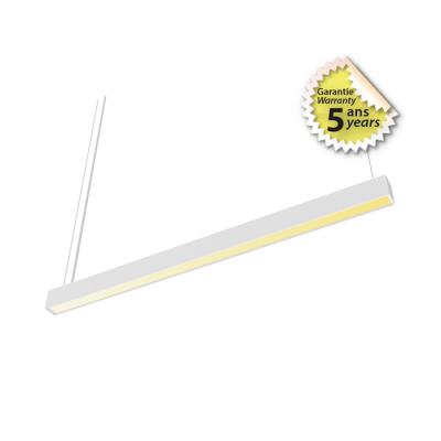  PROLINE LINEAIRE PRISMATIQUE 1 