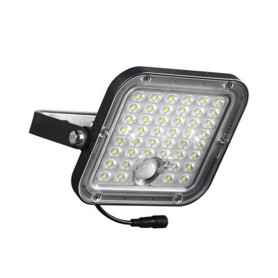  SEDUM PROJECTEUR SOLAIRE 10W 2 
