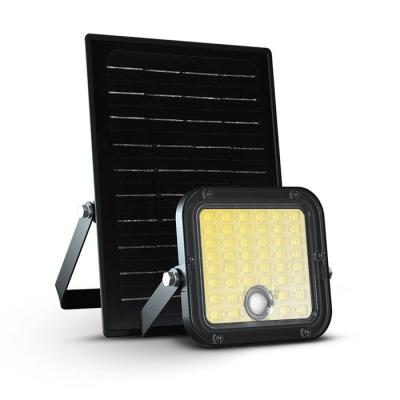  SEDUM PROJECTEUR SOLAIRE 10W 2 