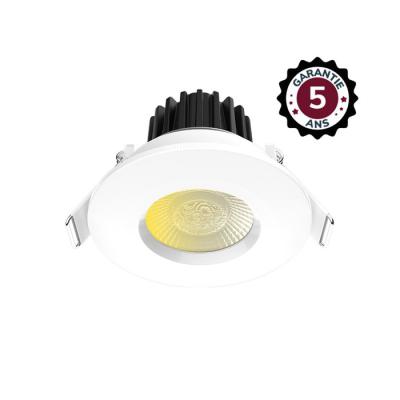  ECLAT CCT II SPOT FIXE 60� 8W 