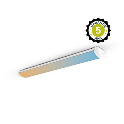  LUMINA LINEAIRE SALLE DE CLASS 