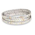  BANDEAU BLC DIM 5M 120LED 9,6W 