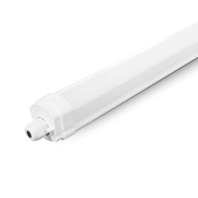  DANUBE ETANCHE LED INT 1555 X 