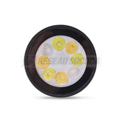  TOURNESOL PROJECT RGB + BLC 6W 