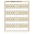  WSB reperage rapide 0,2,4,6 5x 